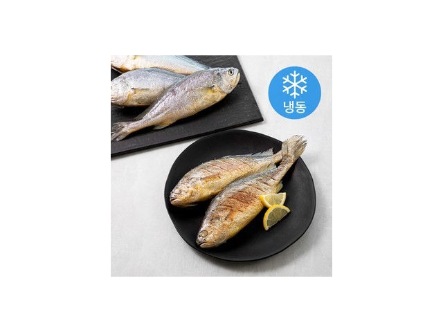 제사용조기 내돈내산 솔직 리뷰, 장점과 단점 공개