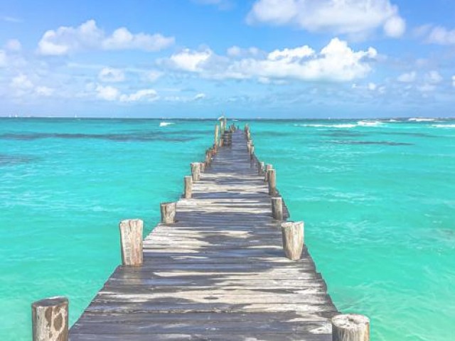 와우껌: 맛과 향기의 마법